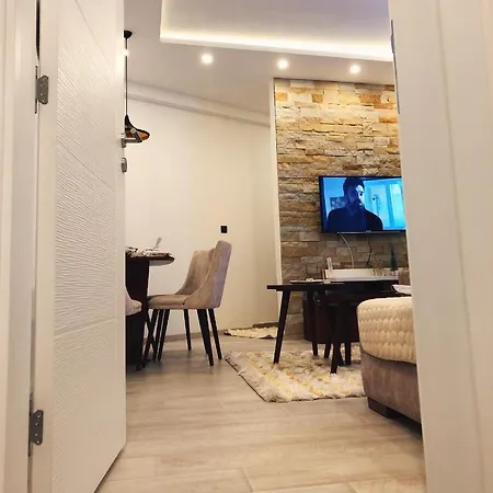 “emi” 科帕奥尼克